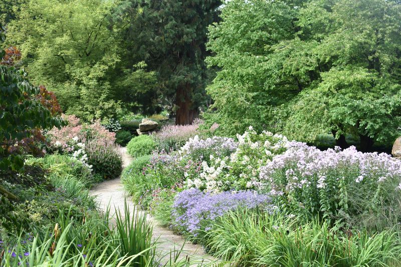 Landscape Design
