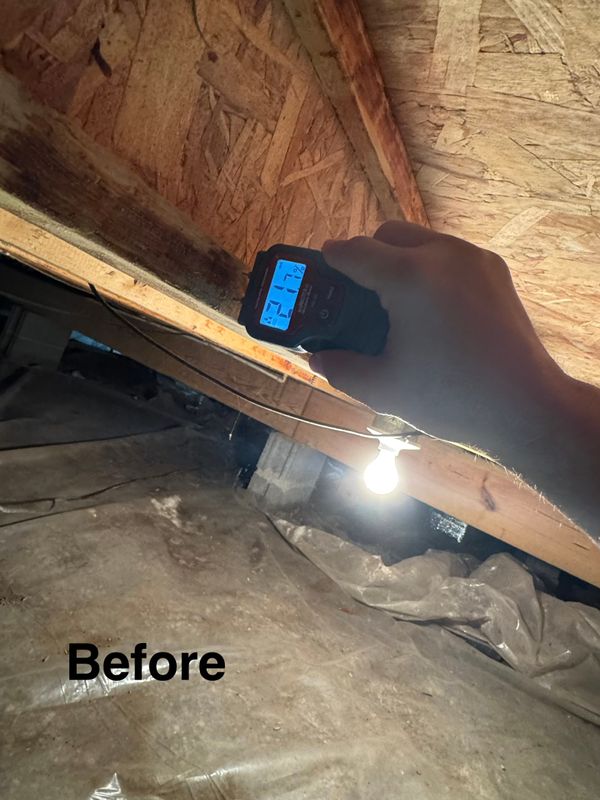 Crawlspace/Attic Renovation 