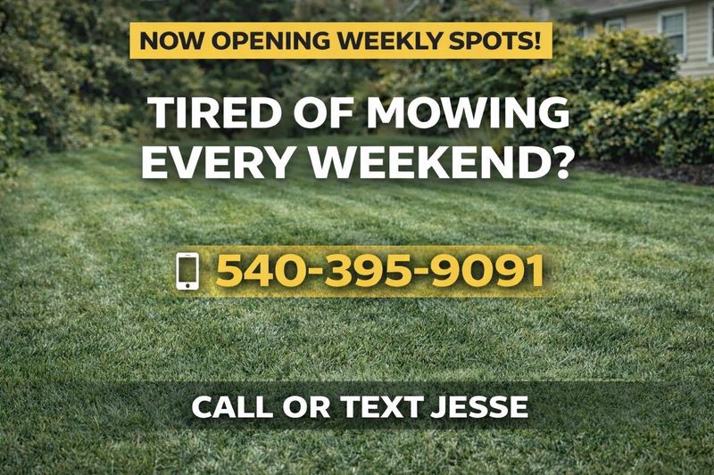 Lawn Maintenance
