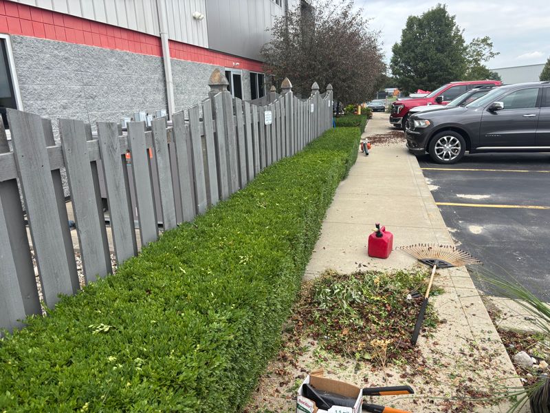 Landscaping and Irrigation Systems Repair