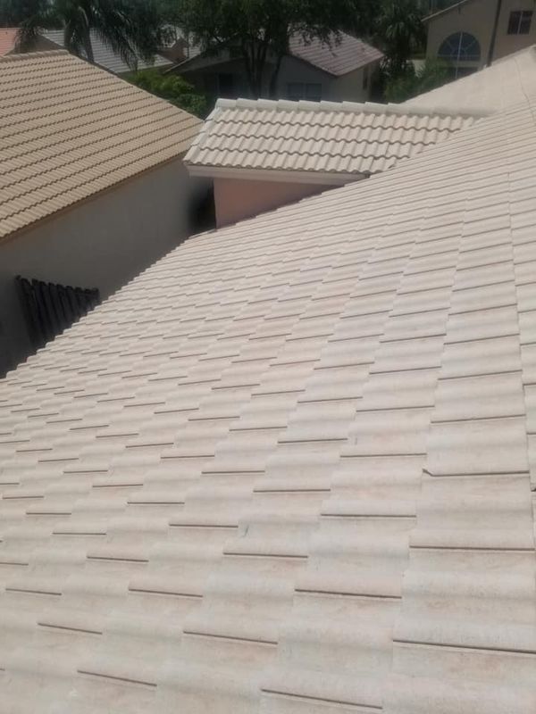 Roof Cleaning