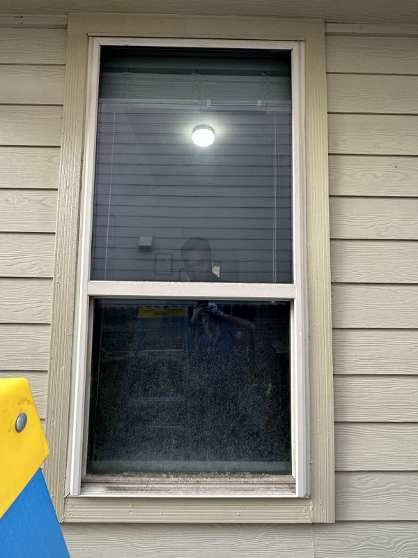 Window Cleaning 