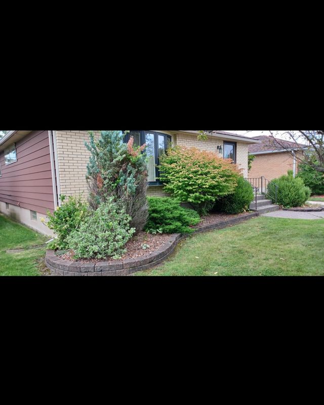 Shrub & Plant Installation Photos
