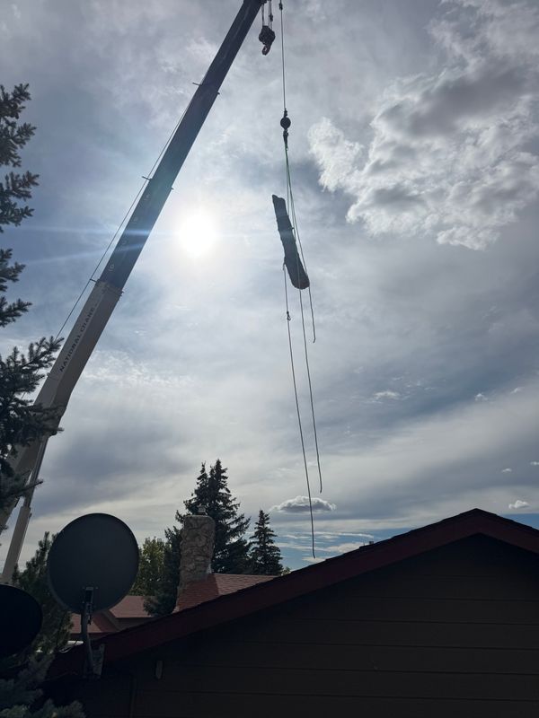 Tree Removal gallery