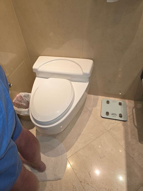Toilet Repairs and Installation