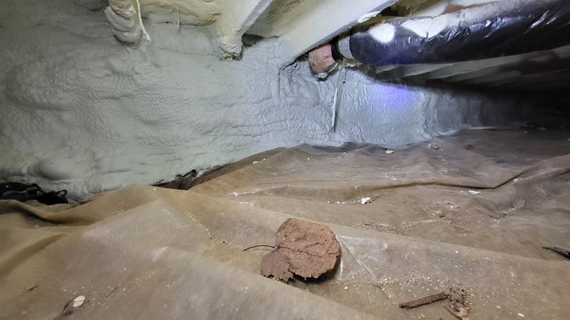 Crawl Space Maintenance