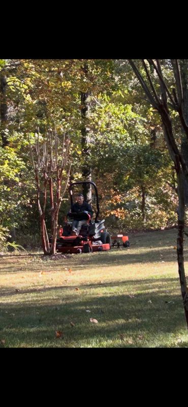 Lawn Aeration & Seeding 