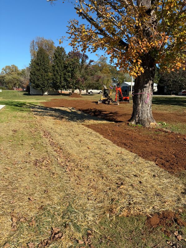 Site Preparation