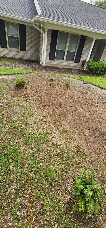 Tree Removal gallery
