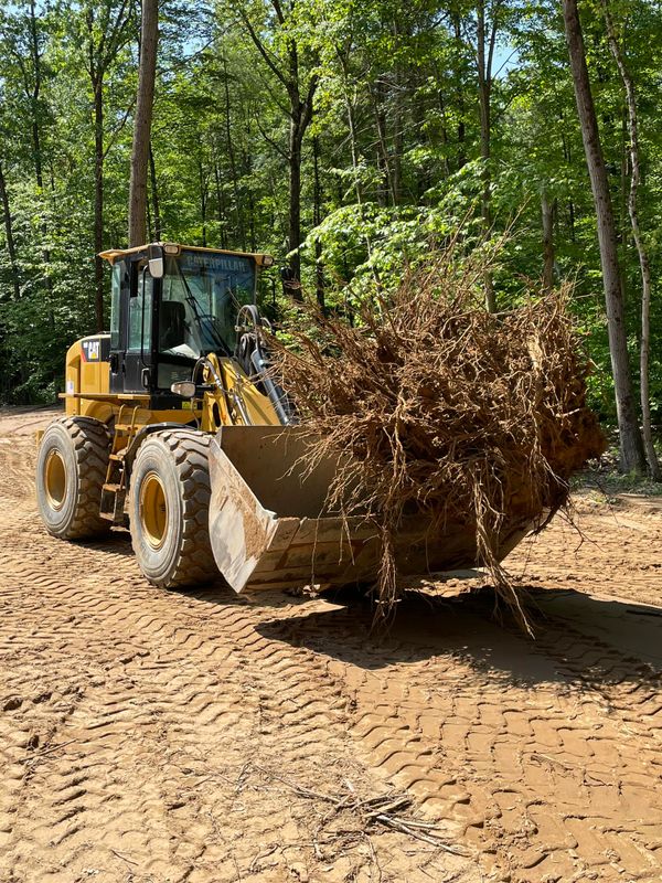 Land Clearing