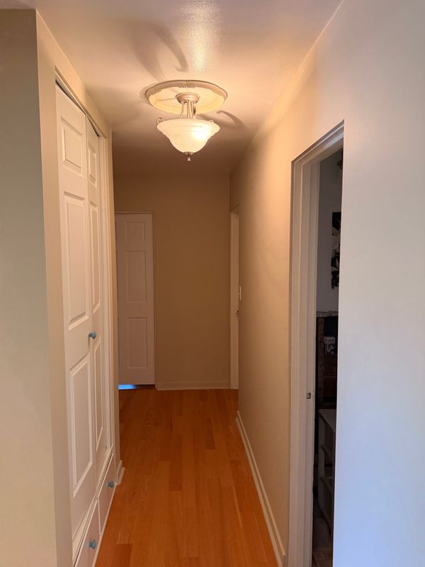 Interior Painting