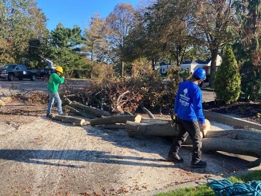 Storm Clean-Ups