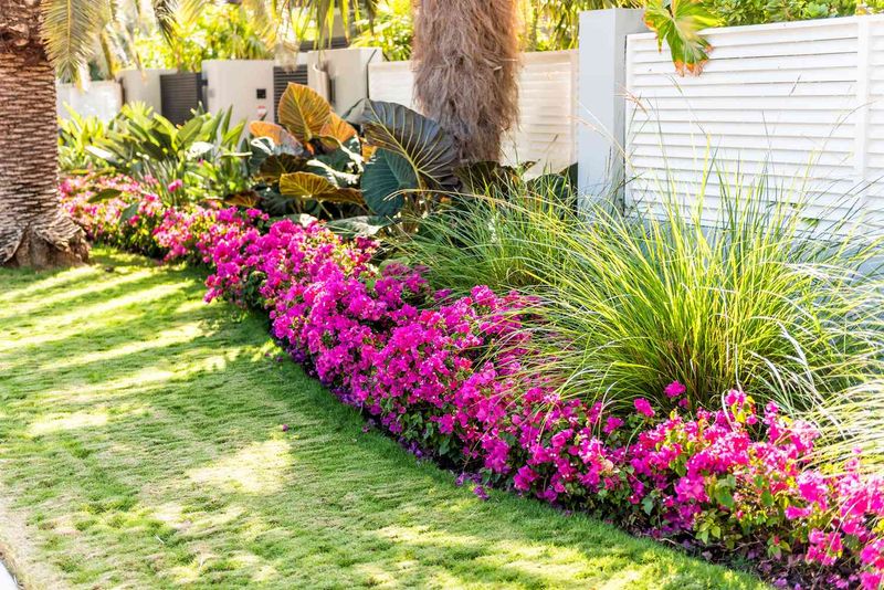 Lawn Maintenance