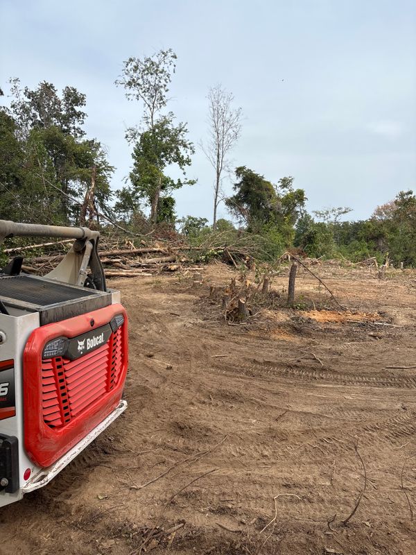 Land Clearing