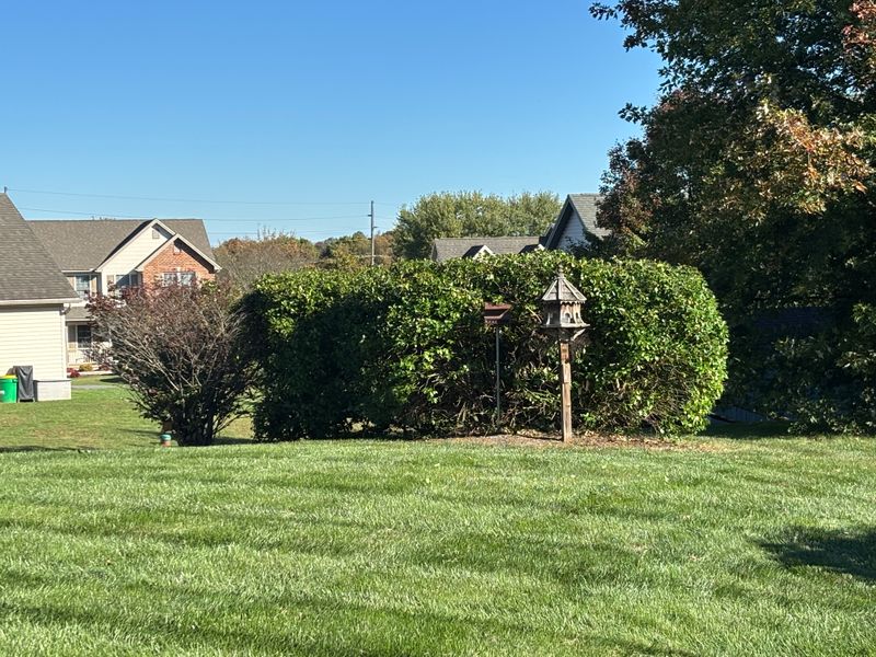 Garden Maintenance