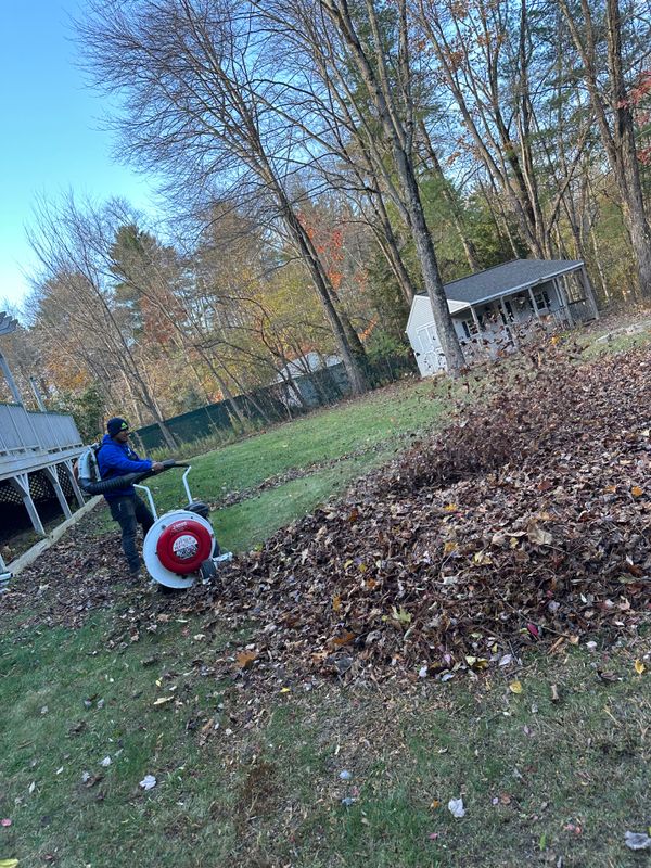 Leaf Removal