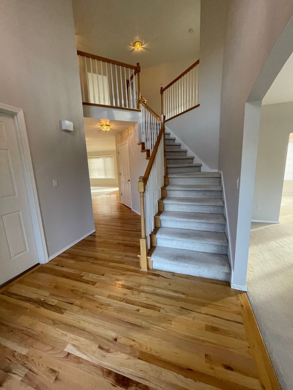 Custom Built Ins & Entertainment