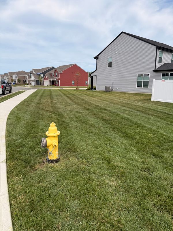 Lawn Care and Maintenance