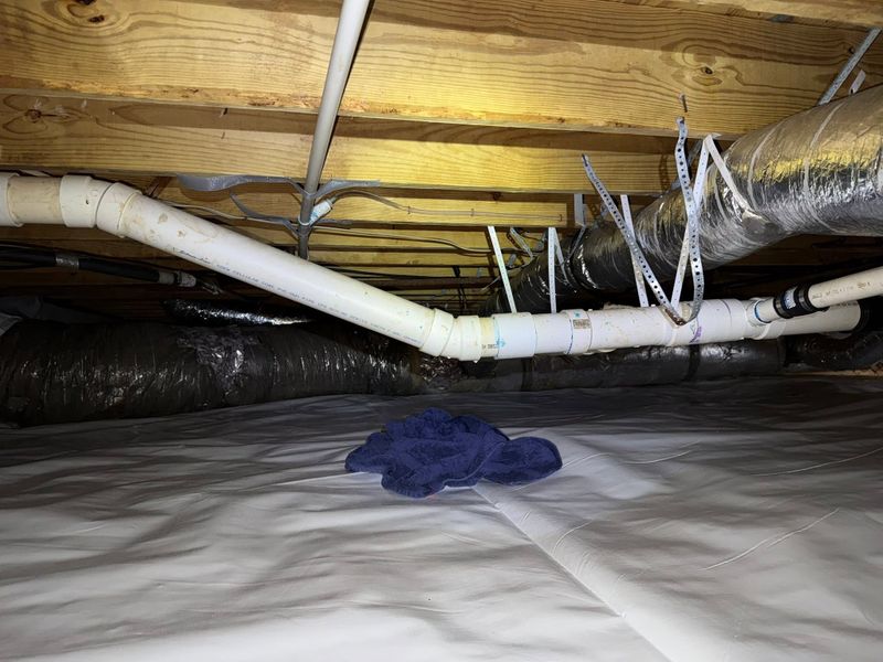 Pipe Repair and Replacement