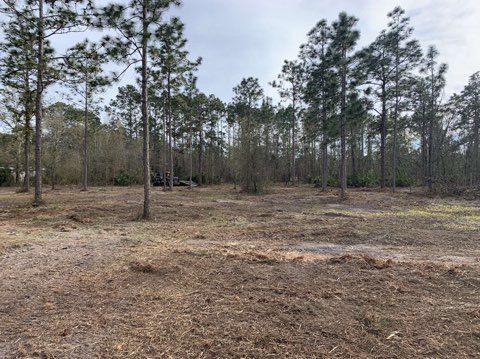 Forestry Mulching gallery