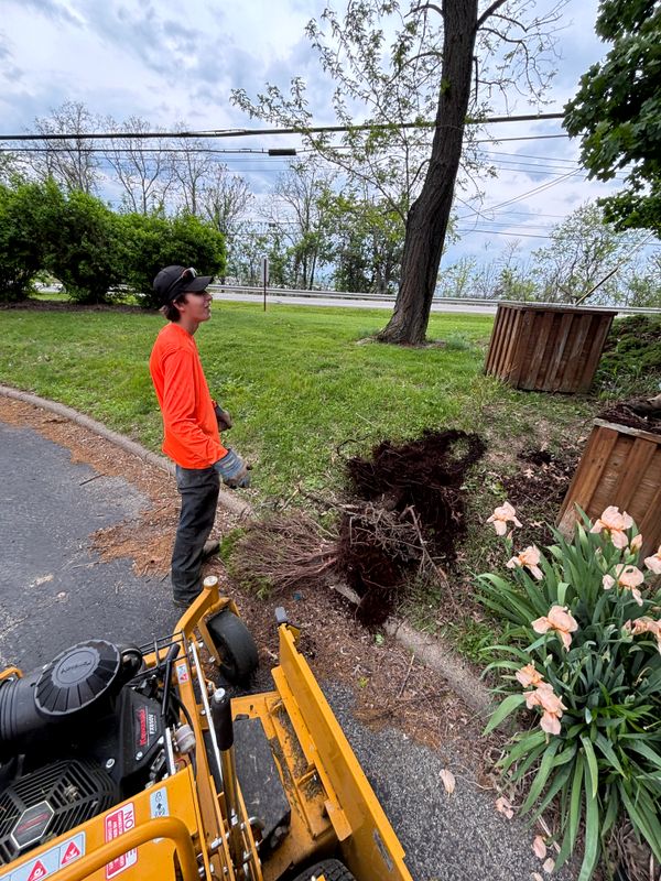 Landscaping