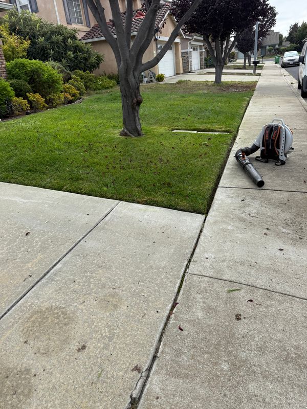 Landscaping