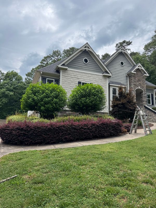 Shrub Trimming