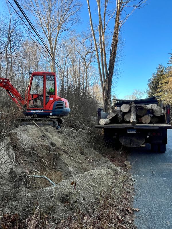 Brush & Tree Removal