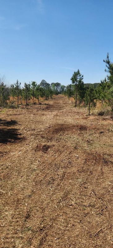 Forestry Mulching