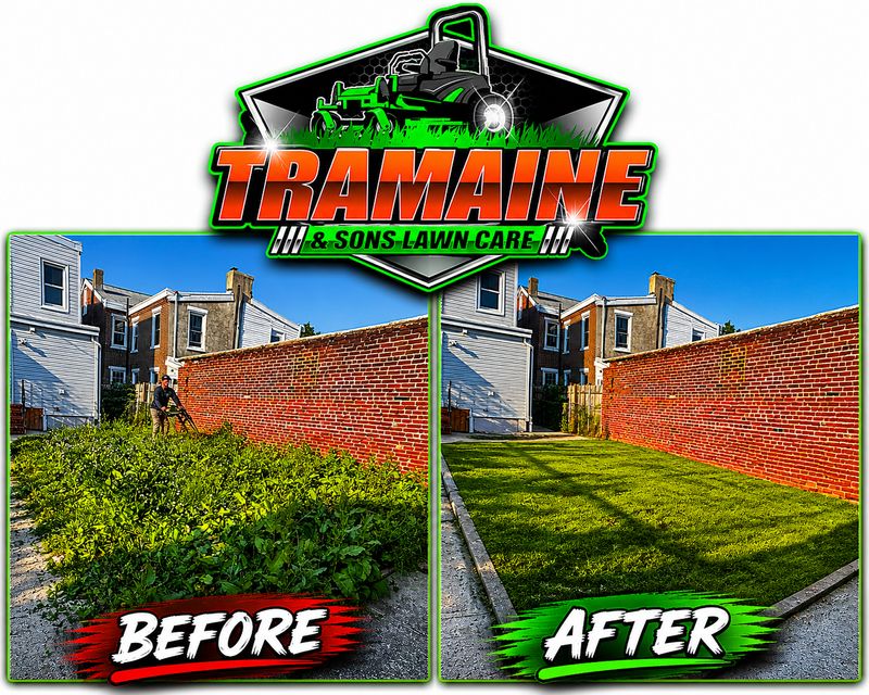 Lawn Maintenance