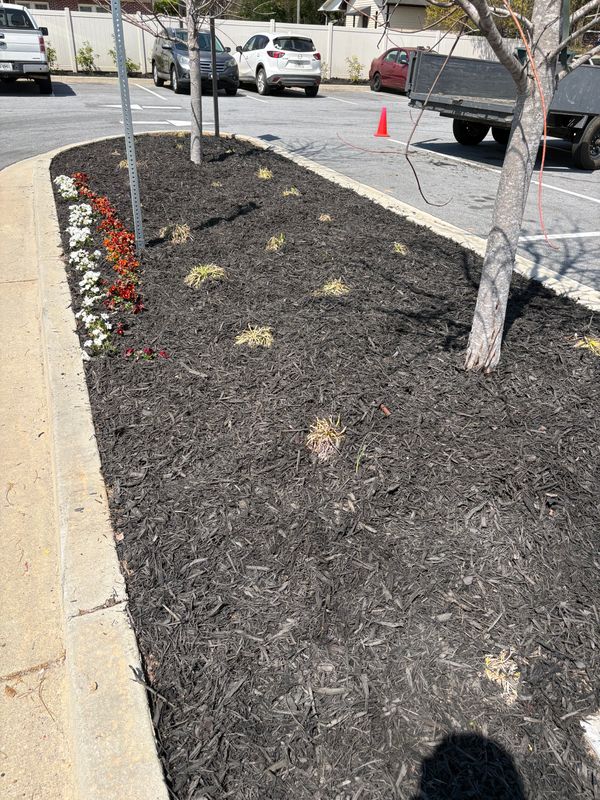 Mulch and Pinestraw Installation