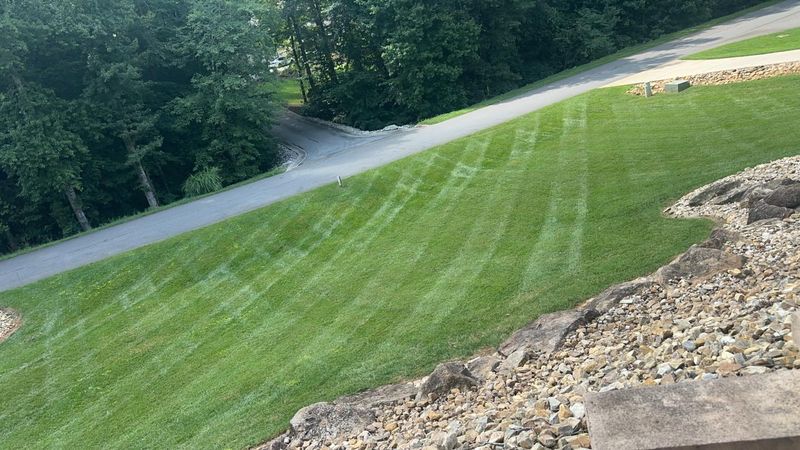 Landscaping 