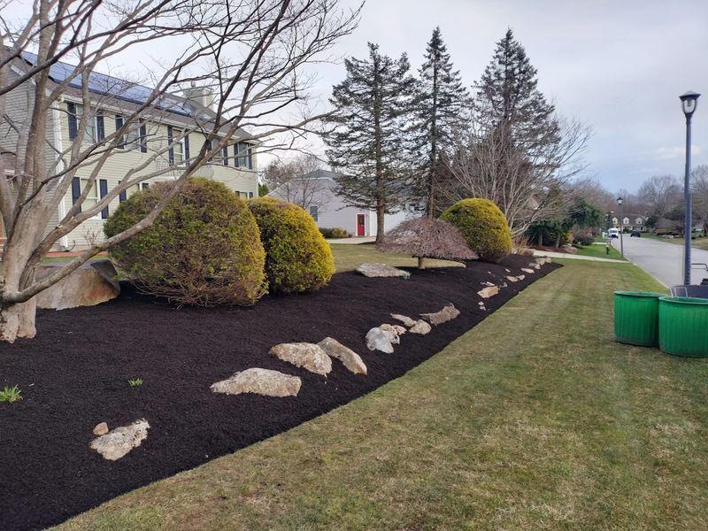 Landscaping gallery