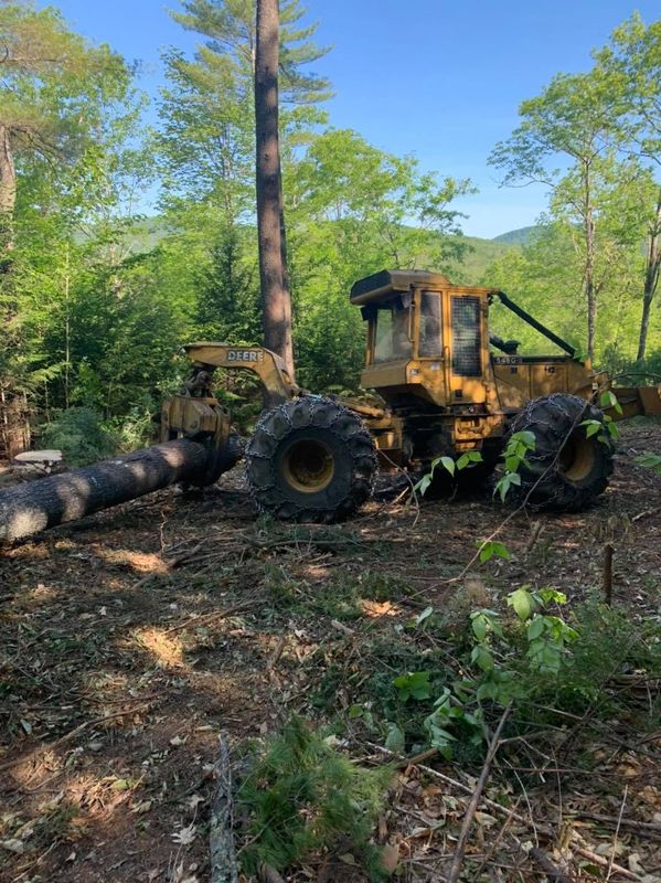 Logging