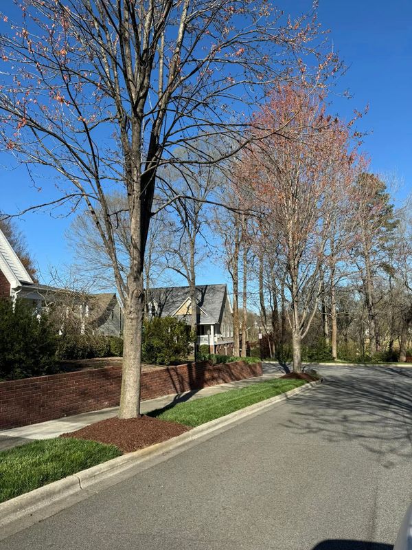 Landscaping