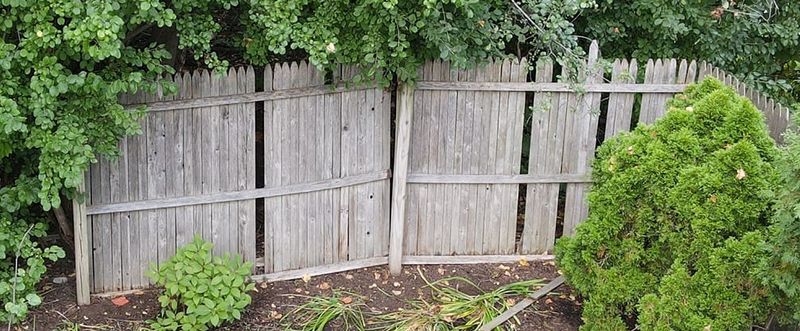 Fence Repair