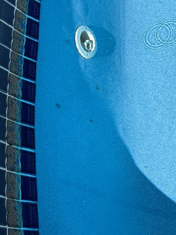 Pool Renovation