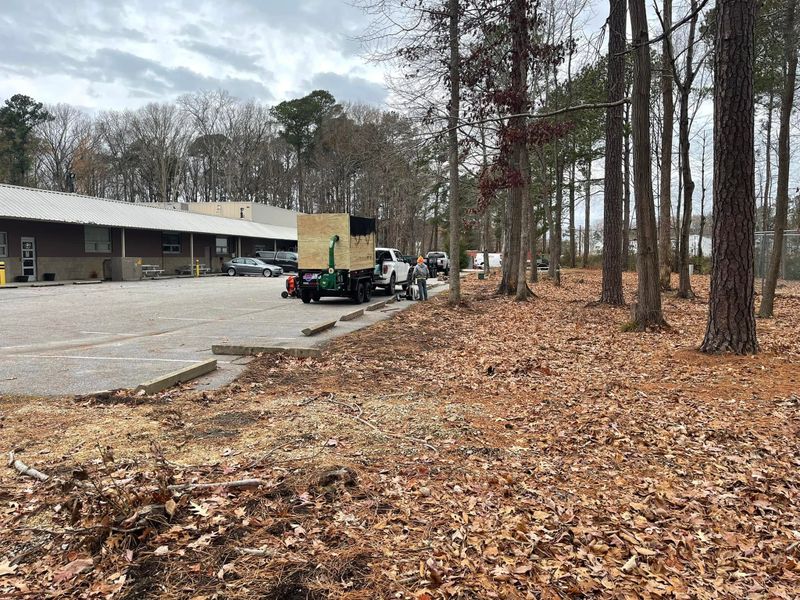 Debris Removal and Cleanup