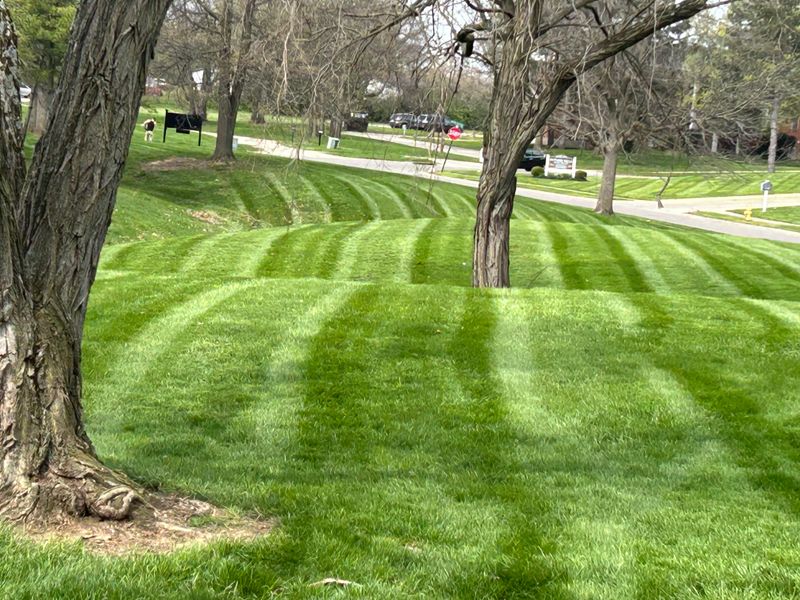 Our Mowing