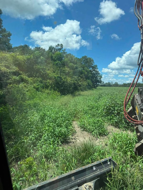 Land Clearing