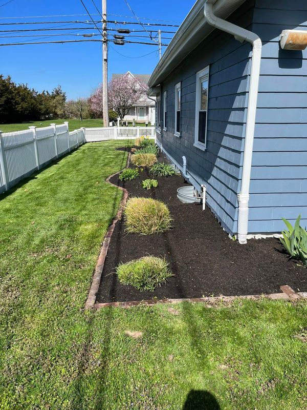 Lawn Aeration