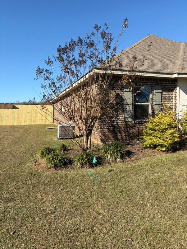 Landscape Maintenance
