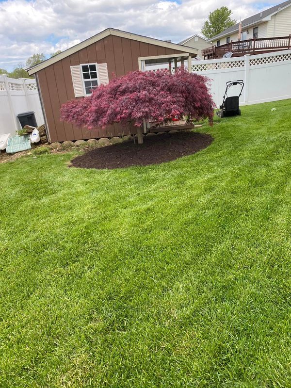 Landscaping