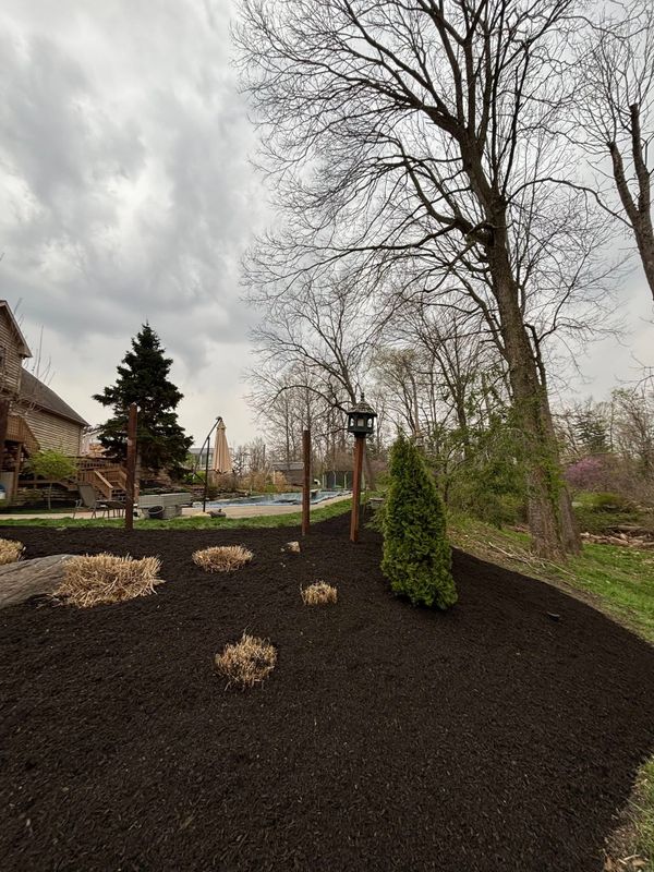 Mulch Installation
