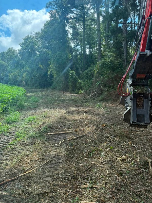 Land Clearing