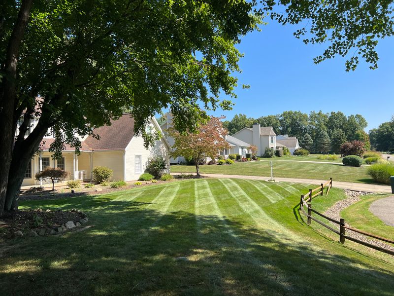 Lawn Care