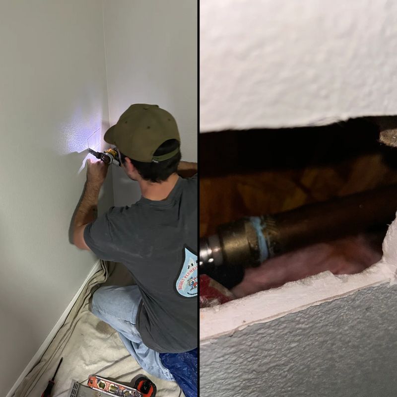 Leak Detection and Repair