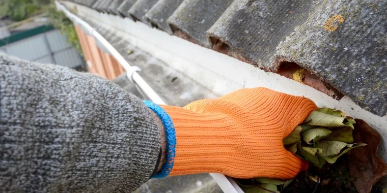 Gutter cleaning