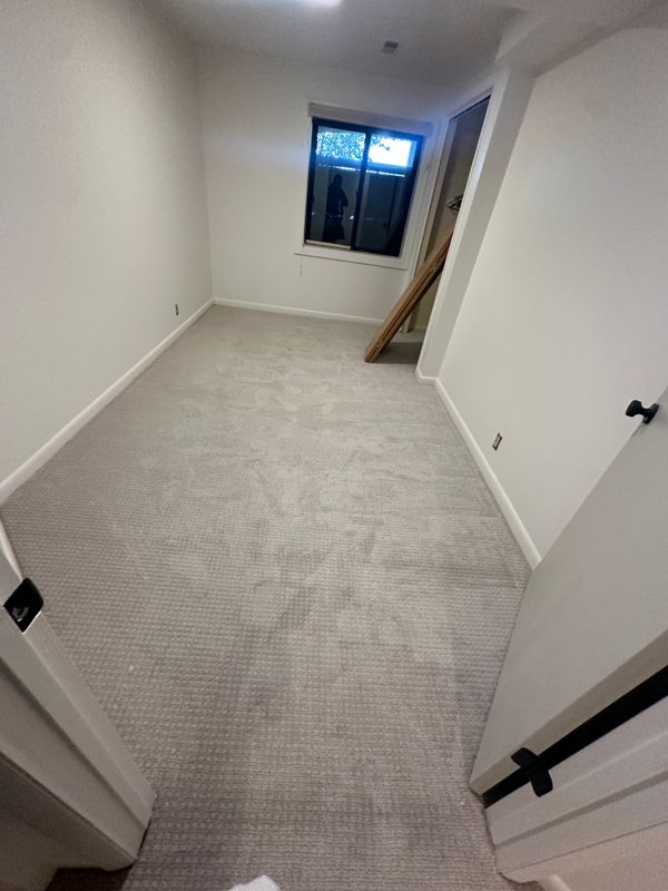 Basement Renovation