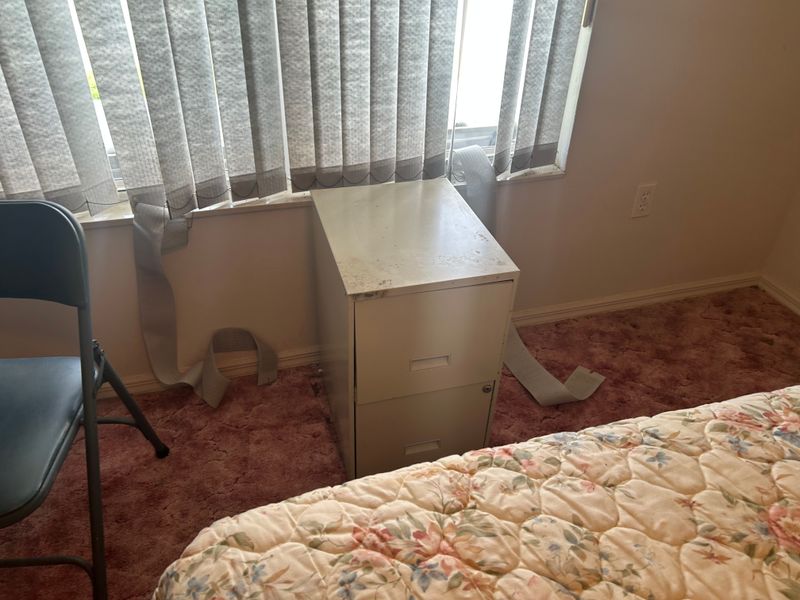 House Cleanout